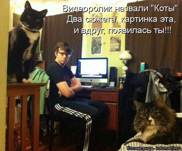 Видеоролик назвали "Коты" Два сюжета, картинка эта, и вдруг, появилась ты!!!... Котоматрица: Видеоролик назвали "Коты" Два сюжета, картинка эта, и вдруг, появилась ты!!!