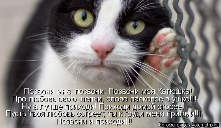 Позвони мне, позвони! Позвони моя Катюшка! Про любовь свою шепни, слово ласковое в ушко!!! Ну а лучше... Котоматрица: Позвони мне, позвони! Позвони моя Катюшка! Про любовь свою шепни, слово ласковое в ушко!!! Ну а лучше приходи! Приходи домой скорее! Пусть твоя