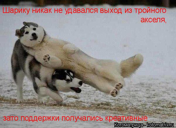 Котоматрица: Шарику никак не удавался выход из тройного  акселя,  зато поддержки получались креативные