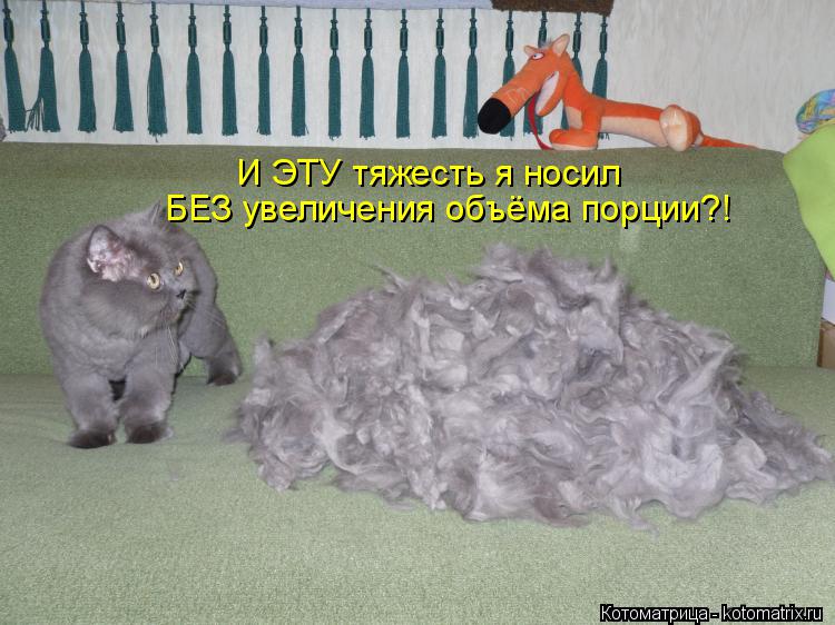 БЕЗ увеличения объёма порции?! И ЭТУ тяжесть я носил... Котоматрица: БЕЗ увеличения объёма порции?! И ЭТУ тяжесть я носил
