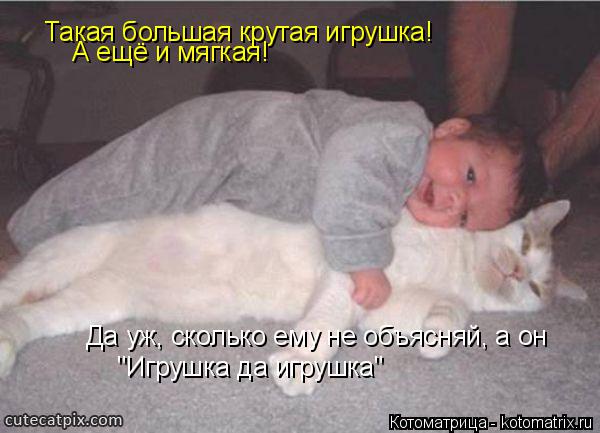 Такая большая крутая игрушка! А ещё и мягкая! Да уж, сколько ему не объясняй, а он "Игрушка да игруш... Котоматрица: Такая большая крутая игрушка! А ещё и мягкая! Да уж, сколько ему не объясняй, а он "Игрушка да игрушка"