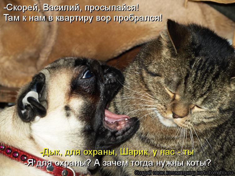 -Скорей, Василий, просыпайся! Там к нам в квартиру вор пробрался! -Дык, для охраны, Шарик, у нас - ты... Котоматрица: -Скорей, Василий, просыпайся! Там к нам в квартиру вор пробрался! -Дык, для охраны, Шарик, у нас - ты -Я для охраны? А зачем тогда нужны коты?
