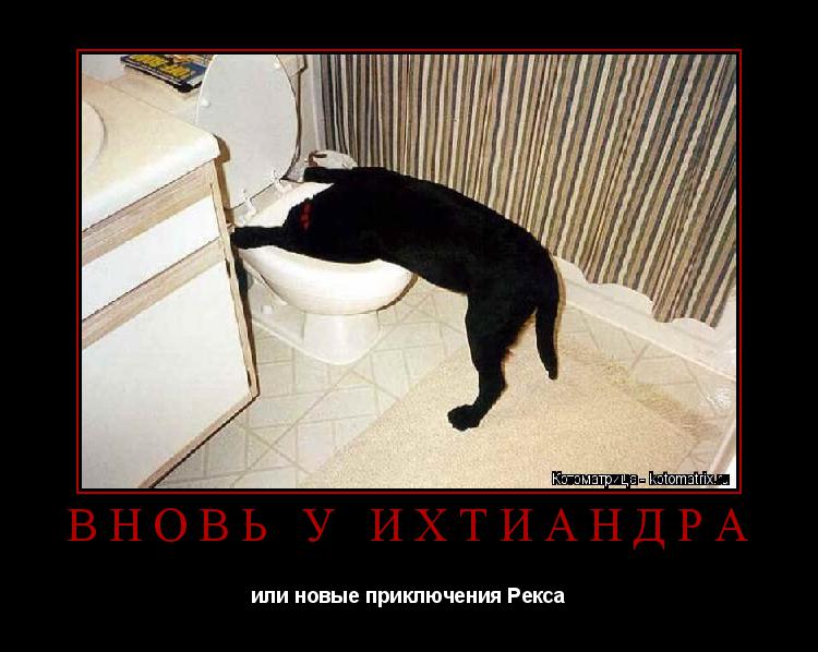 Котоматрица: ВНОВЬ У ИХТИАНДРА или новые приключения Рекса
