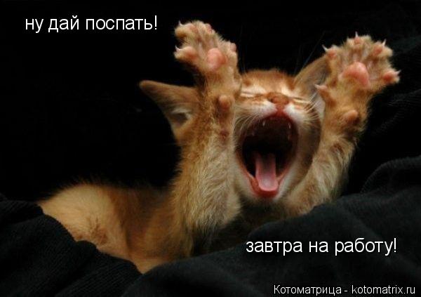 Котоматрица: ну дай поспать! завтра на работу!