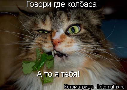 Говори где колбаса! А то я тебя!... Котоматрица: Говори где колбаса! А то я тебя!