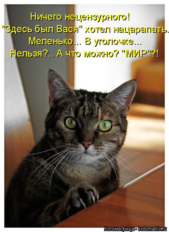 Котоматрица: Ничего нецензурного! "Здесь был Вася" хотел нацарапать. Меленько... В уголочке... Нельзя?.. А что можно? "МИР"?!