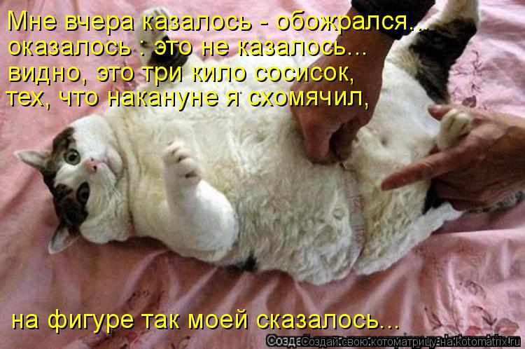 Котоматрица: Мне вчера казалось - обожрался... оказалось : это не казалось... видно, это три кило сосисок, тех, что накануне я схомячил,  на фигуре так моей ск
