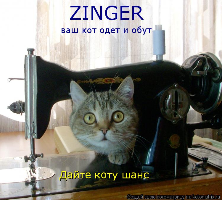 Котоматрица: ZINGER ваш кот одет и обут Дайте коту шанс