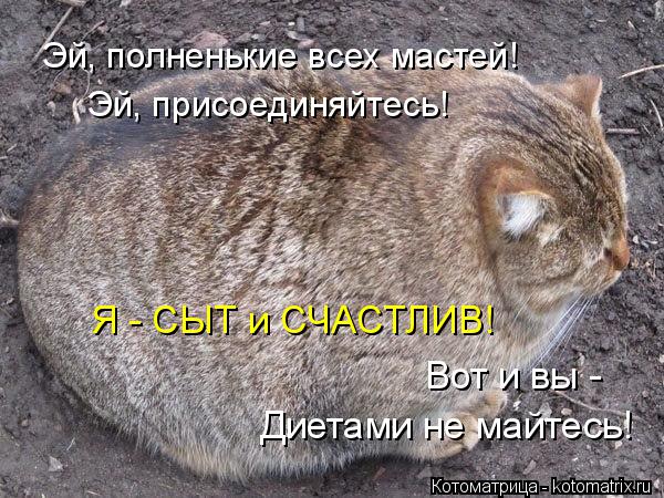Котоматрица: Эй, полненькие всех мастей! Эй, присоединяйтесь! Я - СЫТ и СЧАСТЛИВ! Вот и вы -  Диетами не майтесь!