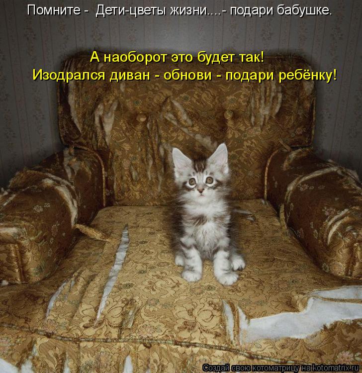 Котоматрица: Помните -  Дети-цветы жизни....- подари бабушке. А наоборот это будет так! Изодрался диван - обнови - подари ребёнку!