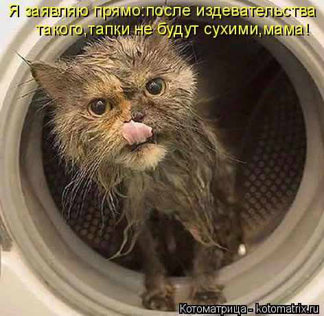 Котоматрица: Я заявляю прямо:после издевательства такого,тапки не будут сухими,мама!