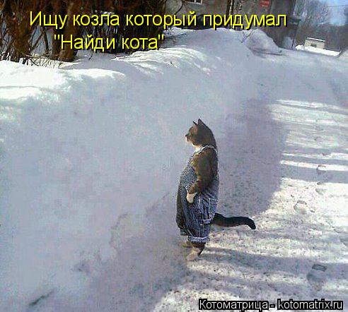 Котоматрица: Ищу козла который придумал "Найди кота"