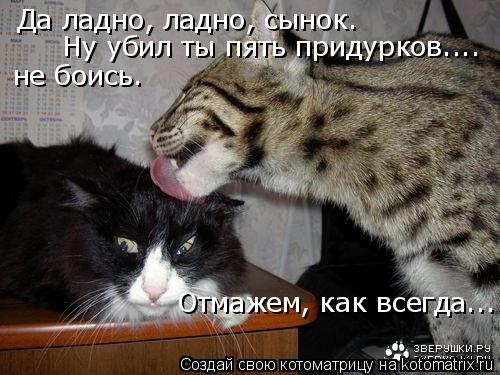 Котоматрица: Да ладно, ладно, сынок.  Ну убил ты пять придурков.... не боись. Отмажем, как всегда...