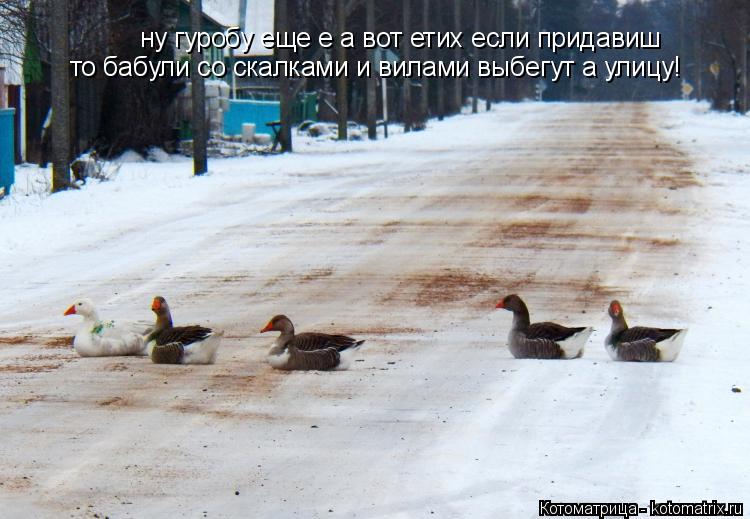 Котоматрица: ну гуробу еще е а вот етих если придавиш  то бабули со скалками и вилами выбегут а улицу!