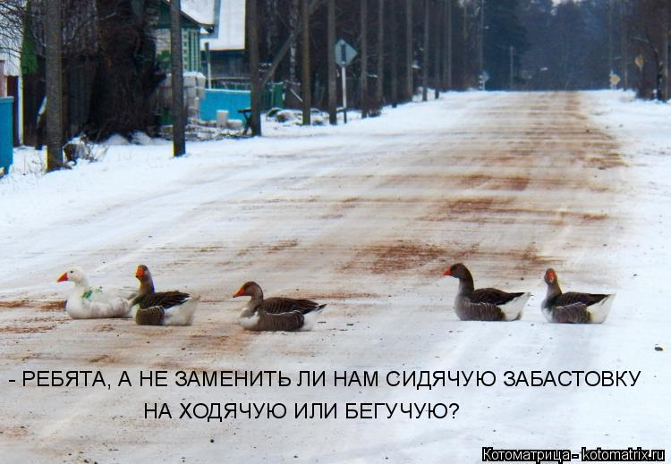 Котоматрица: - РЕБЯТА, А НЕ ЗАМЕНИТЬ ЛИ НАМ СИДЯЧУЮ ЗАБАСТОВКУ НА ХОДЯЧУЮ ИЛИ БЕГУЧУЮ?