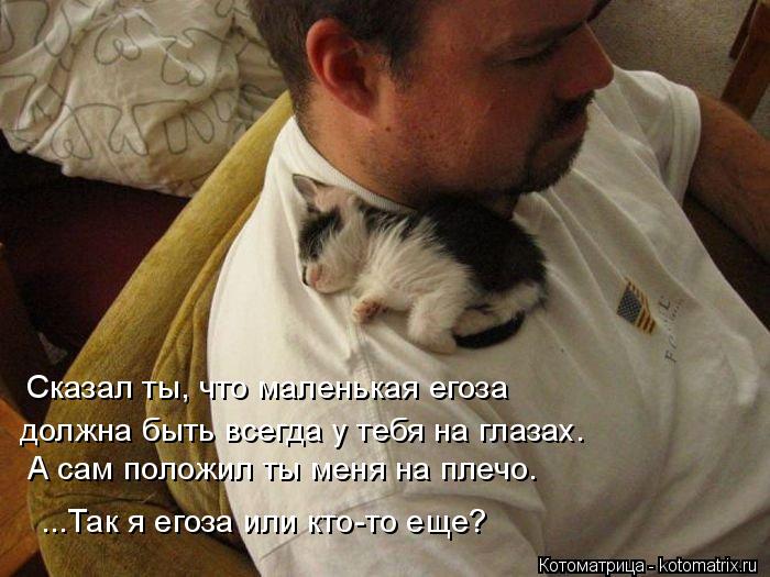 должна быть всегда у тебя на глазах. Сказал ты, что маленькая егоза А сам положил ты меня на плечо. .... Котоматрица: должна быть всегда у тебя на глазах. Сказал ты, что маленькая егоза А сам положил ты меня на плечо. ...Так я егоза или кто-то еще?