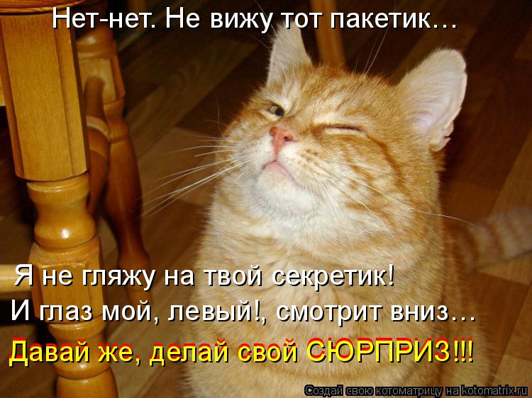 Котоматрица: Нет-нет. Не вижу тот пакетик… И глаз мой, левый!, смотрит вниз… Давай же, делай свой СЮРПРИЗ!!! Давай же, делай свой СЮРПРИЗ!!! Я не гляжу на тво