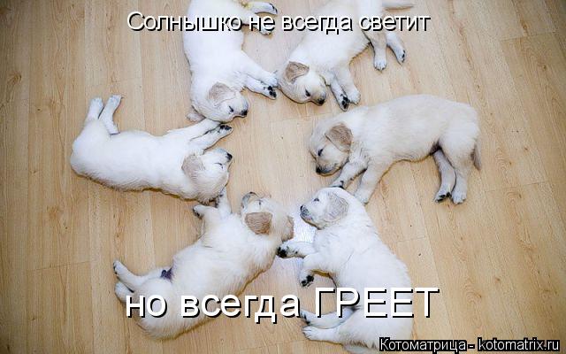 Солнышко не всегда светит но всегда ГРЕЕТ... Котоматрица: Солнышко не всегда светит но всегда ГРЕЕТ