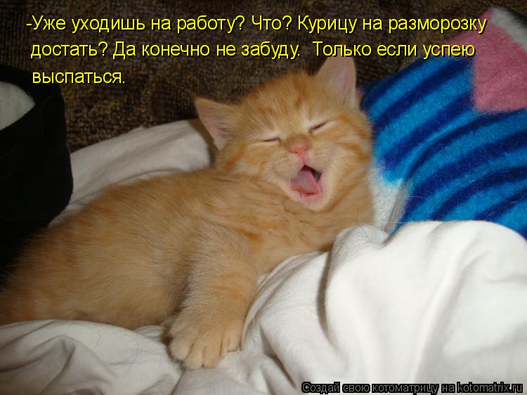 Котоматрица: -Уже уходишь на работу? Что? Курицу на разморозку достать? Да конечно не забуду.  Только если успею выспаться.