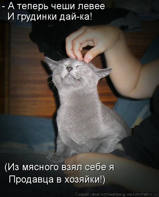 Котоматрица: - А теперь чеши левее И грудинки дай-ка! (Из мясного взял себе я Продавца в хозяйки!)