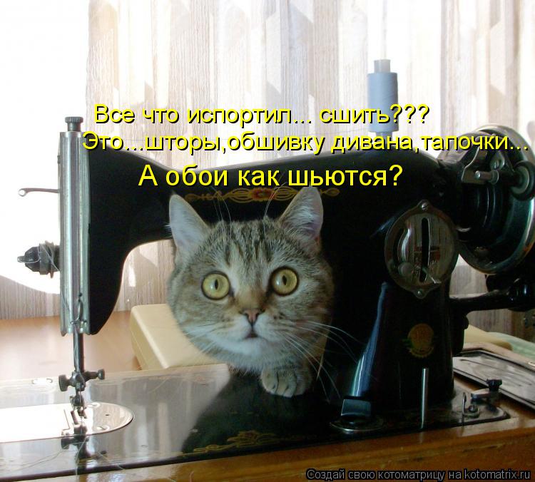 Котоматрица: Все что испортил... сшить??? Это...шторы,обшивку дивана,тапочки... А обои как шьются?