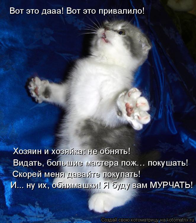 Вот это дааа! Вот это привалило! Хозяин и хозяйка: не обнять! Видать, большие мастера пож… покушать! ... Котоматрица: Вот это дааа! Вот это привалило! Хозяин и хозяйка: не обнять! Видать, большие мастера пож… покушать! Скорей меня давайте покупать! И... ну их, о