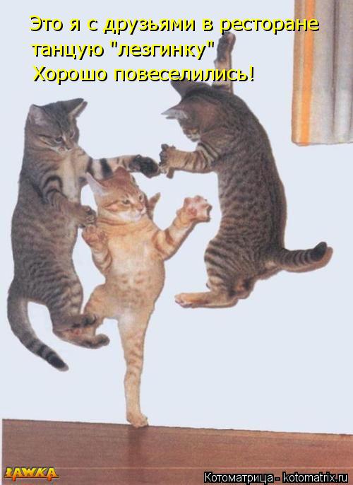 Котоматрица: Это я с друзьями в ресторане танцую "лезгинку"  Хорошо повеселились!