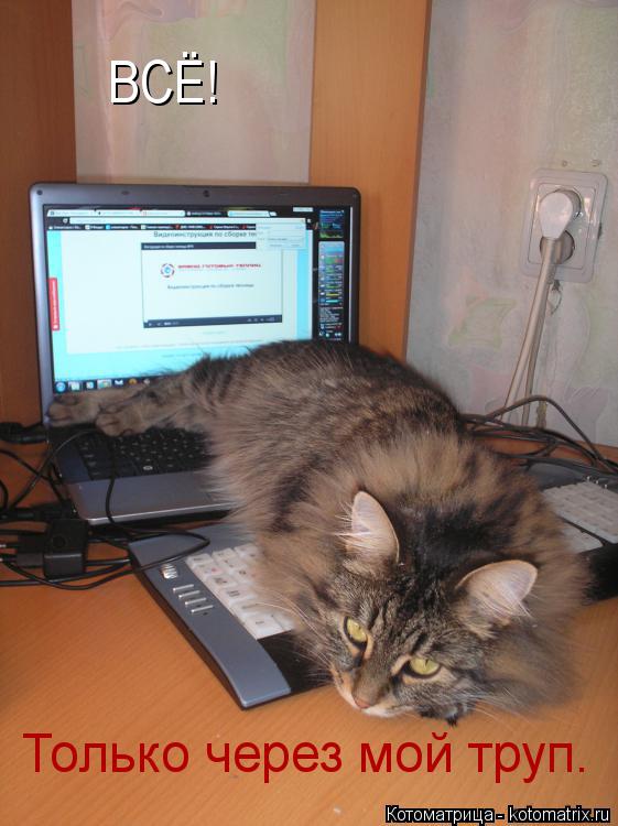 Котоматрица: ВСЁ! Только через мой труп.