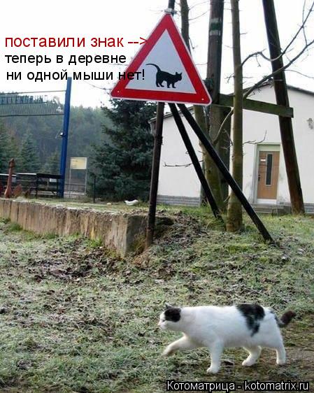 Котоматрица: поставили знак --> теперь в деревне ни одной мыши нет!