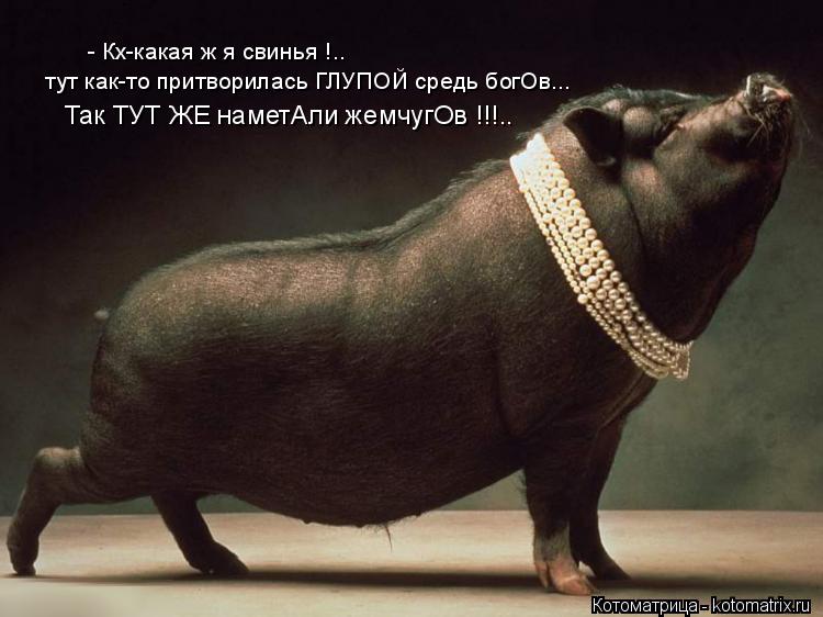 Котоматрица: - Кх-какая ж я свинья !.. тут как-то притворилась ГЛУПОЙ средь богОв... Так ТУТ ЖЕ наметАли жемчугОв !!!..