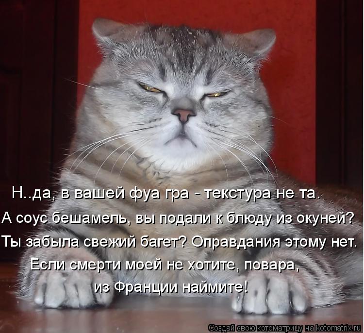 Котоматрица: Н..да, в вашей фуа гра - текстура не та. А соус бешамель, вы подали к блюду из окуней? Ты забыла свежий багет? Оправдания этому нет. Если смерти 