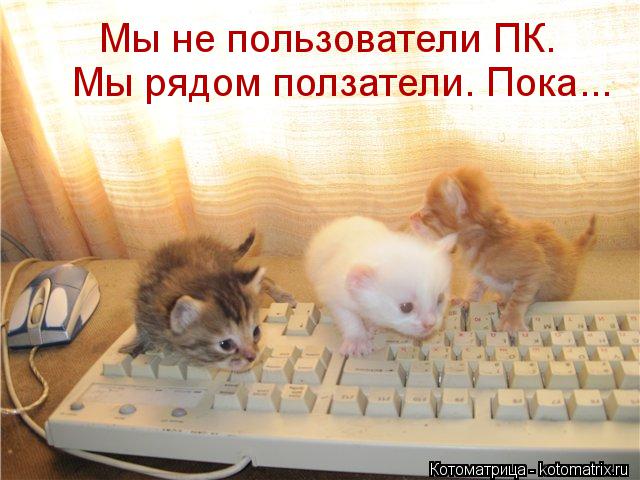 Котоматрица: Мы не пользователи ПК.  Мы рядом ползатели. Пока...