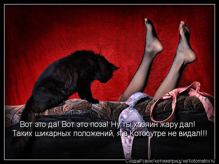 Вот это да! Вот это поза! Ну ты хозяин жару дал! Таких шикарных положений, я в Котосутре не видал!!!... Котоматрица: Вот это да! Вот это поза! Ну ты хозяин жару дал! Таких шикарных положений, я в Котосутре не видал!!!