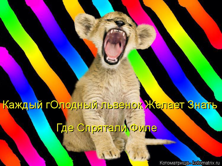 Котоматрица: Каждый гОлодный львенок Желает Знать Где Спрятали Филе
