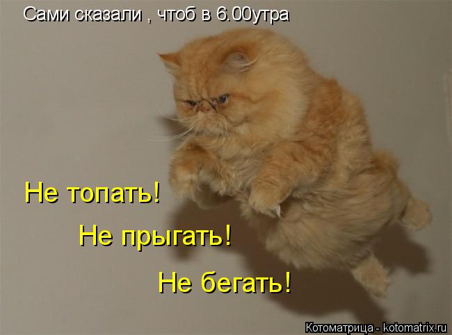 Котоматрица: Сами сказали , чтоб в 6.00утра Не топать! Не прыгать! Не бегать!