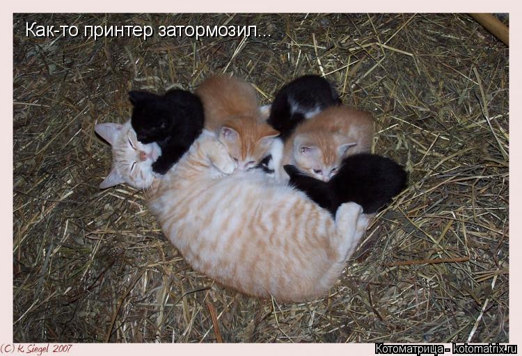Как-то принтер затормозил...... Котоматрица: Как-то принтер затормозил...