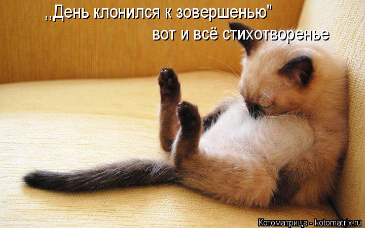 ,,День клонился к зовершенью" вот и всё стихотворенье... Котоматрица: ,,День клонился к зовершенью" вот и всё стихотворенье