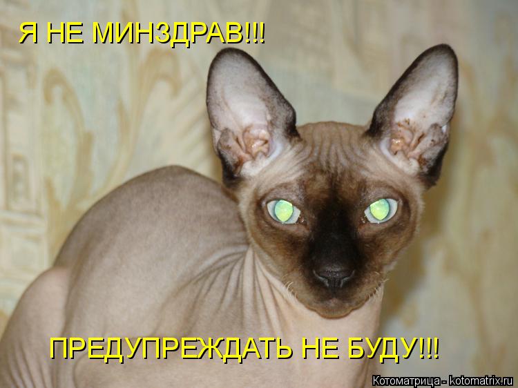 Котоматрица: Я НЕ МИНЗДРАВ!!! ПРЕДУПРЕЖДАТЬ НЕ БУДУ!!!
