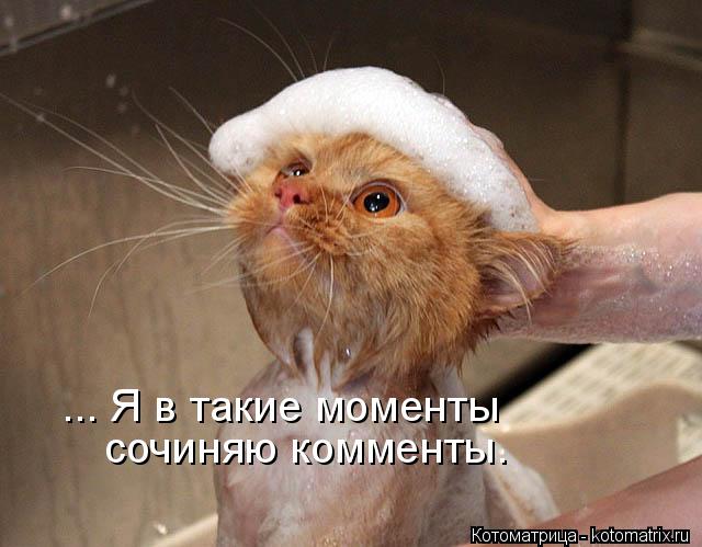 Котоматрица: ... Я в такие моменты сочиняю комменты.