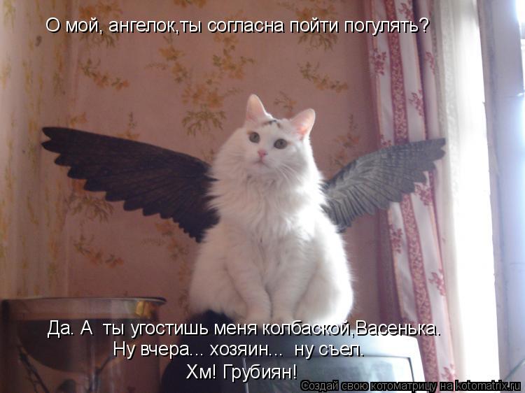 О мой, ангелок,ты согласна пойти погулять? Да. А ты угостишь меня колбаской,Васенька. Ну вчера...... Котоматрица: О мой, ангелок,ты согласна пойти погулять? Да. А ты угостишь меня колбаской,Васенька. Ну вчера... хозяин... ну съел. Ну вчера... хозяин... ну съ