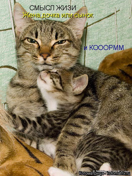 СМЫСЛ ЖИЗИ Жена,дочка или сынок и КОООРММ... Котоматрица: СМЫСЛ ЖИЗИ Жена,дочка или сынок и КОООРММ