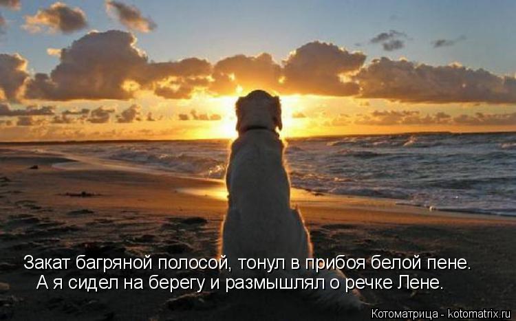 Закат багряной полосой, тонул в прибоя белой пене. А я сидел на берегу и размышлял о речке Лене.... Котоматрица: Закат багряной полосой, тонул в прибоя белой пене. А я сидел на берегу и размышлял о речке Лене.