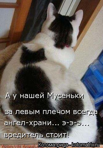 А у нашей Мусеньки за левым плечом всегда ангел-храни... э-э-э... вредитель стоит!... Котоматрица: А у нашей Мусеньки за левым плечом всегда ангел-храни... э-э-э... вредитель стоит!