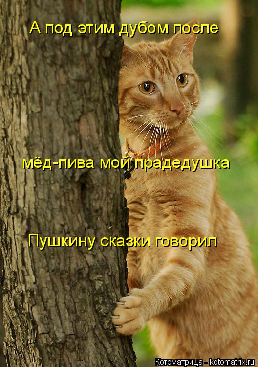 А под этим дубом после мёд-пива мой прадедушка Пушкину сказки говорил... Котоматрица: А под этим дубом после мёд-пива мой прадедушка Пушкину сказки говорил