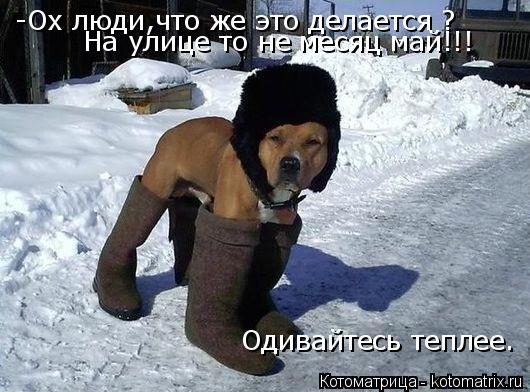 Котоматрица: -Ox люди,что же это делается ? -Ox люди,что же это делается ? На улице то не месяц май!!! Одивайтесь теплее.