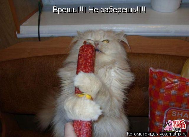 Врешь!!!! Не заберешь!!!!... Котоматрица: Врешь!!!! Не заберешь!!!!