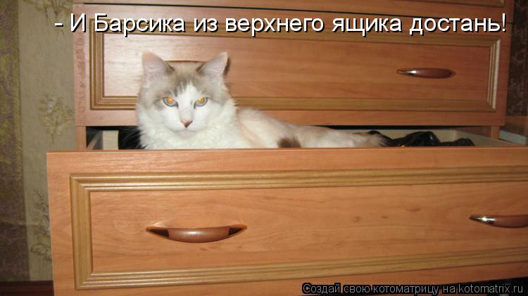 - И Барсика из верхнего ящика достань!... Котоматрица: - И Барсика из верхнего ящика достань!