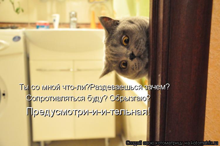 Ты со мной что-ли?Раздеваешься зачем? Сопротивляться буду? Обрызгаю? Предусмотри-и-и-тельная!... Котоматрица: Ты со мной что-ли?Раздеваешься зачем? Сопротивляться буду? Обрызгаю? Предусмотри-и-и-тельная!