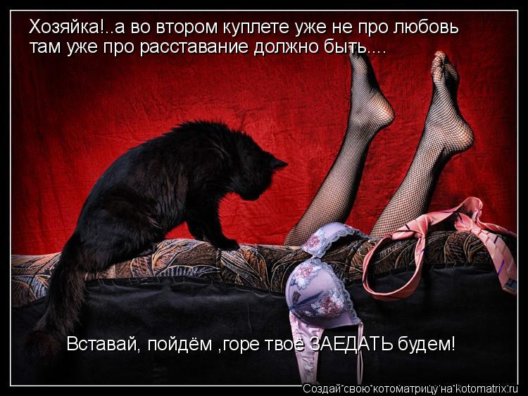 Котоматрица: Хозяйка!..а во втором куплете уже не про любовь там уже про расставание должно быть.... Вставай, пойдём ,горе твоё ЗАЕДАТЬ будем!