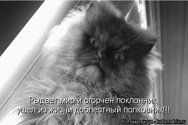Рыдает мир и огорчен поклонник, ушел из жизни доблестный полковник!!!... Котоматрица: Рыдает мир и огорчен поклонник, ушел из жизни доблестный полковник!!!